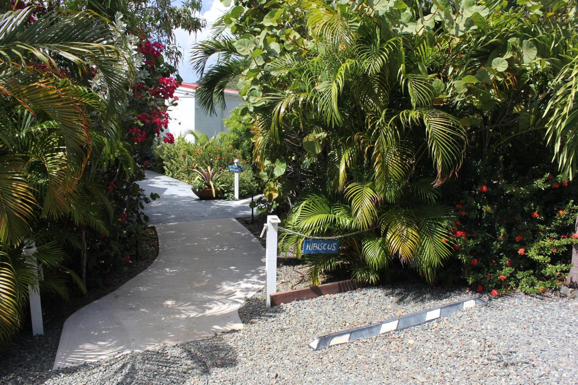 Beautiful Honeymoon Suite At Sunset Serenade Cruz Bay Екстер'єр фото